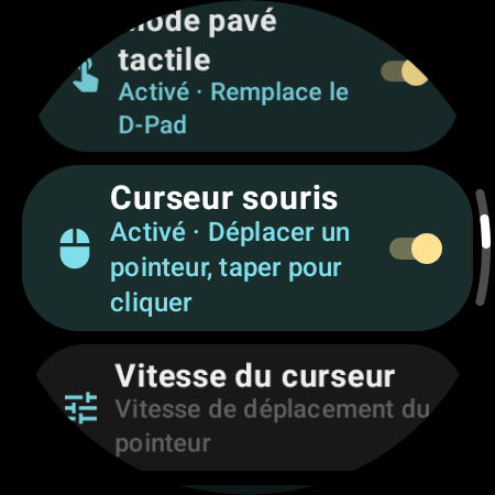 Curseur souris activé, avec le réglage Vitesse du curseur sur la montre