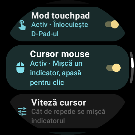 Cursor mouse activat, cu setarea Viteză cursor pe ceas
