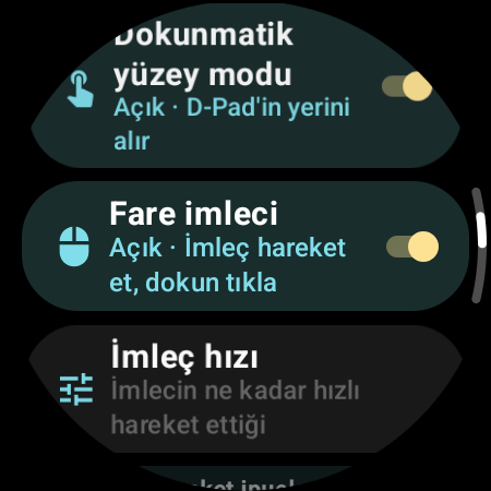 Saatte etkin Fare imleci ve İmleç hızı ayarı